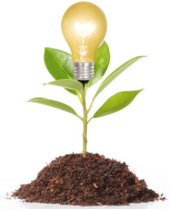 Plant with lightbulb instead of a flower